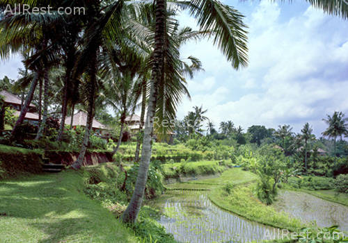 Amandari Ubud resort 10